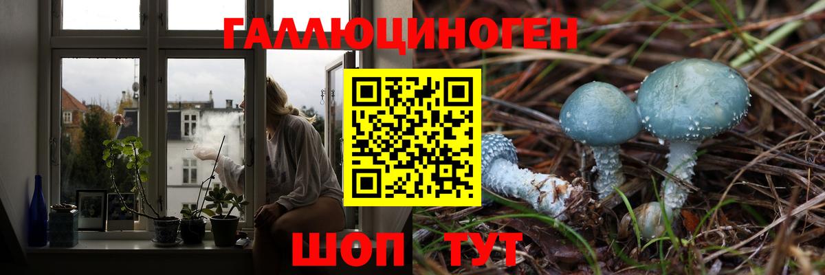 Галлюциногенные грибы мухоморы  Галлюциногенные грибы Cubensis  Семилуки  Вход с VPN 